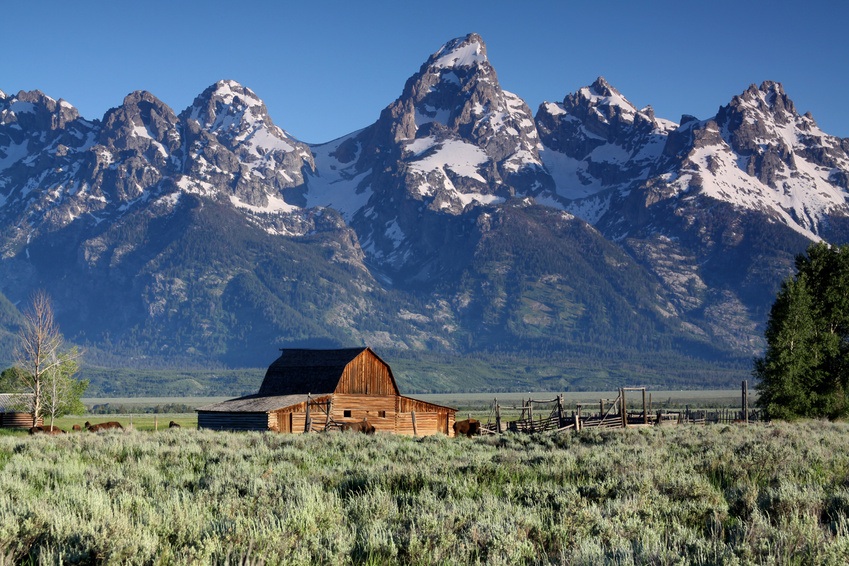 Grand Teton National Park - Wyoming