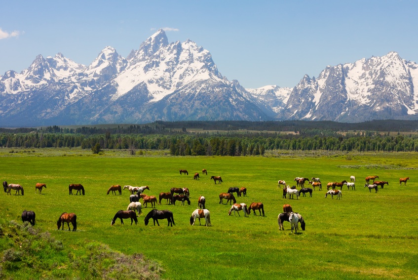 Grand Teton National Park - Wyoming