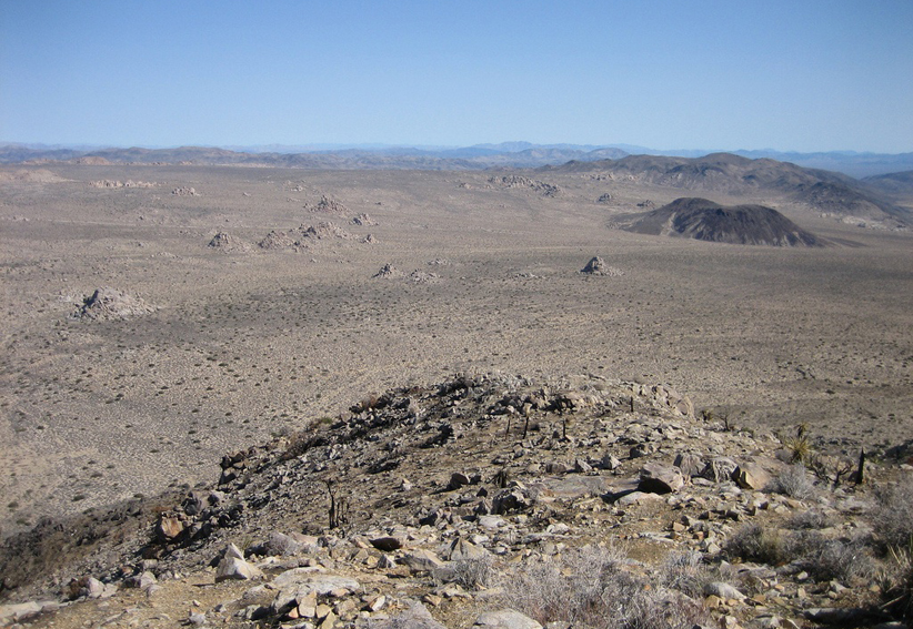 Joshua Tree National Park