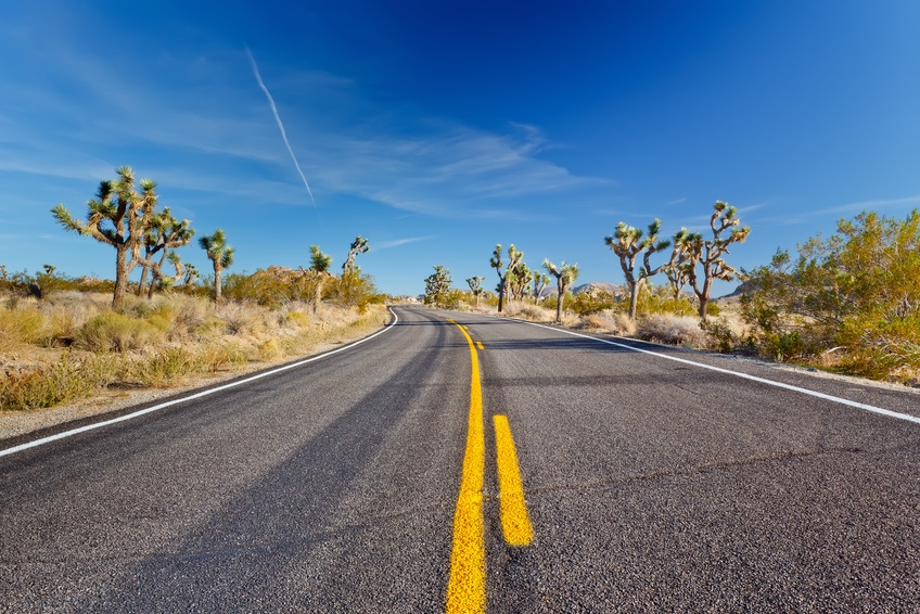 Joshua Tree National Park