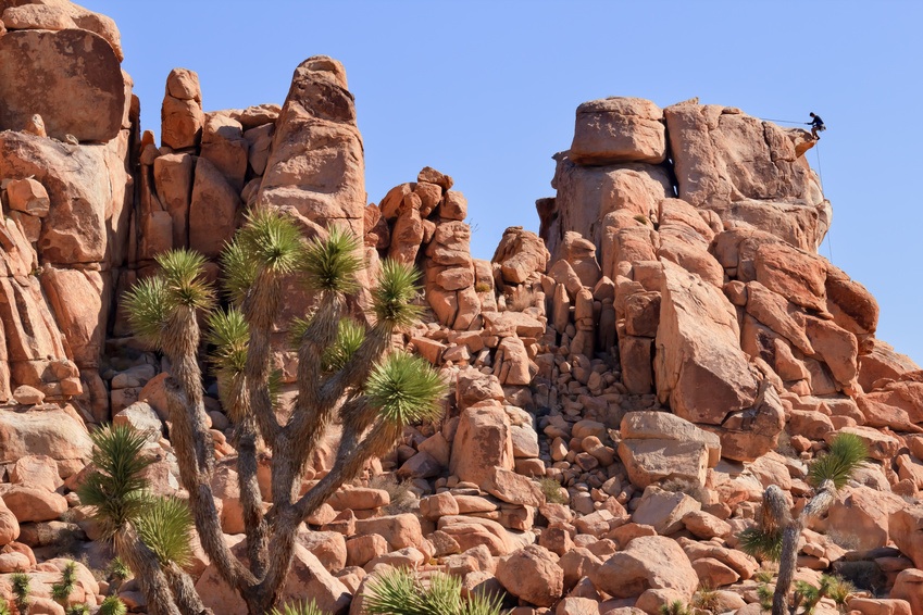 Joshua Tree National Park