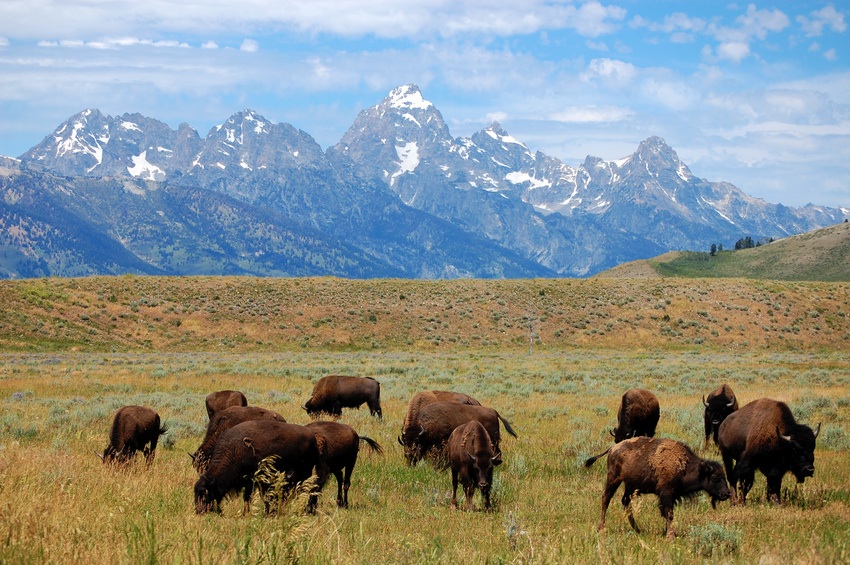 Grand Teton National Park - Wyoming