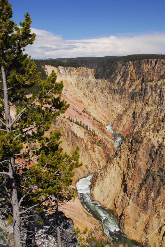 Yellowstone - Wyoming