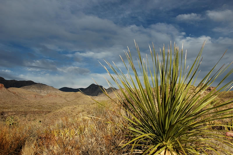 Big Bend