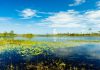 Everglades National Park