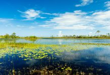 Everglades National Park
