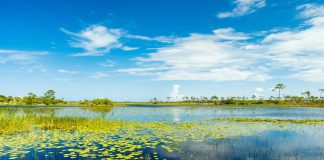 Everglades National Park