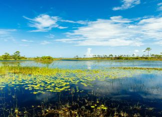 Everglades National Park