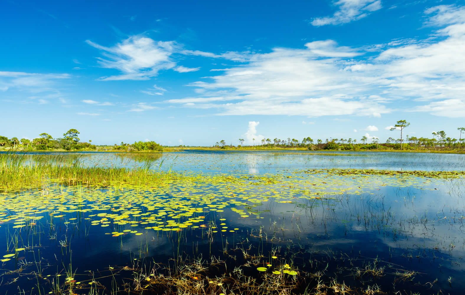 everglades floride Archives - Voyages - Cartes