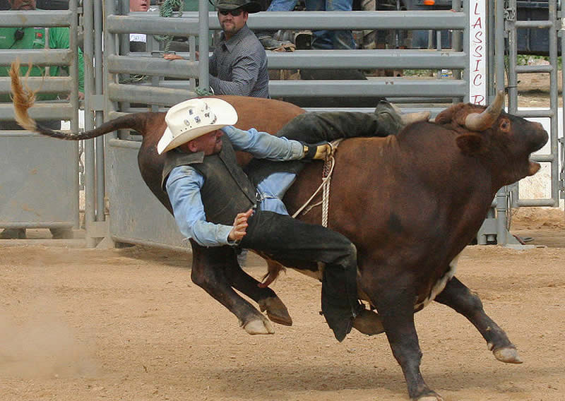 Bull-riding 