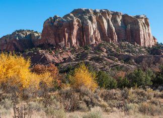 New Mexico