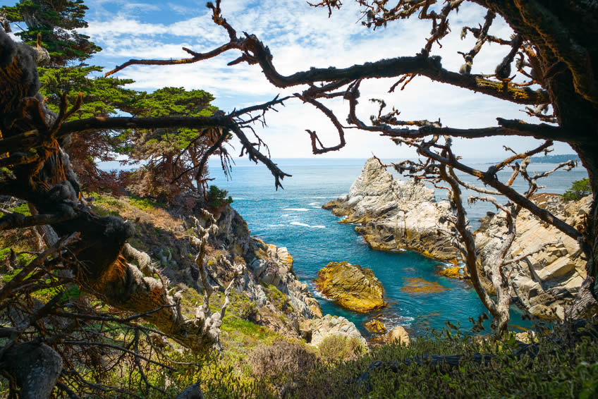 Point Lobos