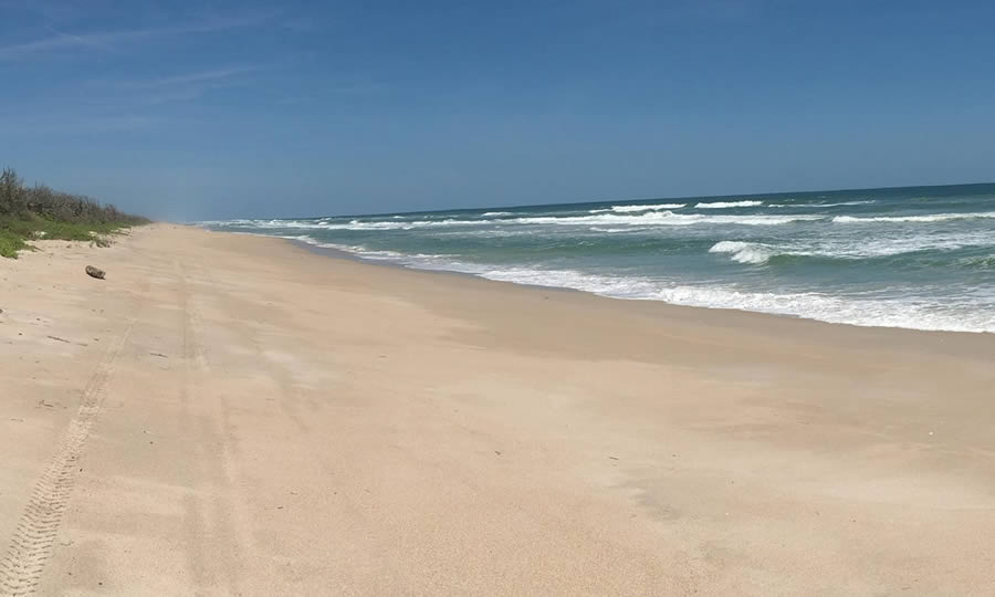 Canaveral National Seashore