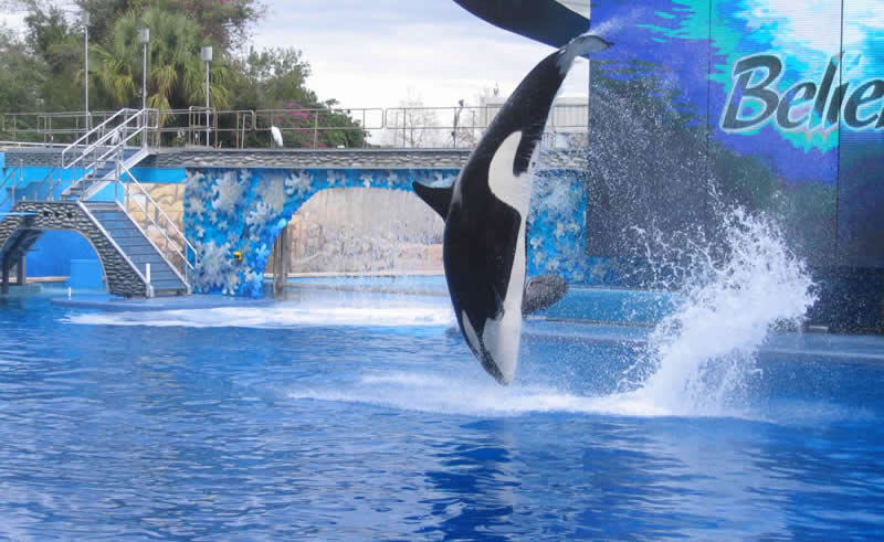 Sea World