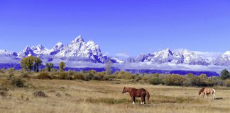 Wyoming