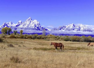 Wyoming