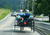 Les Amish : un Buggy