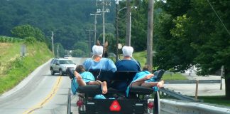 Les Amish : un Buggy