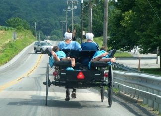 Les Amish : un Buggy