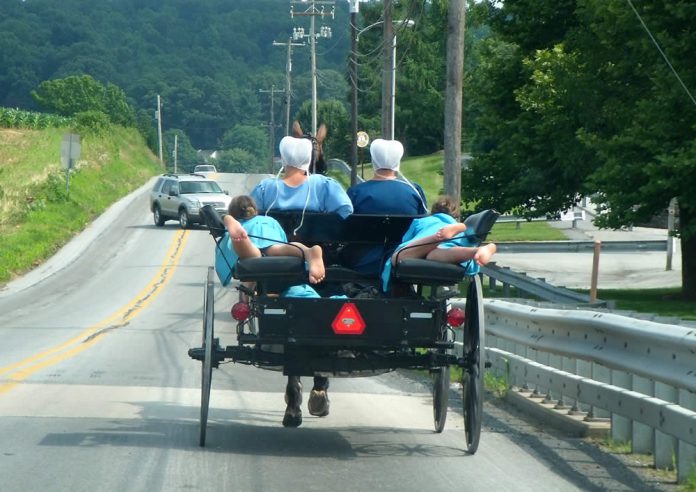 Les Amish : un Buggy