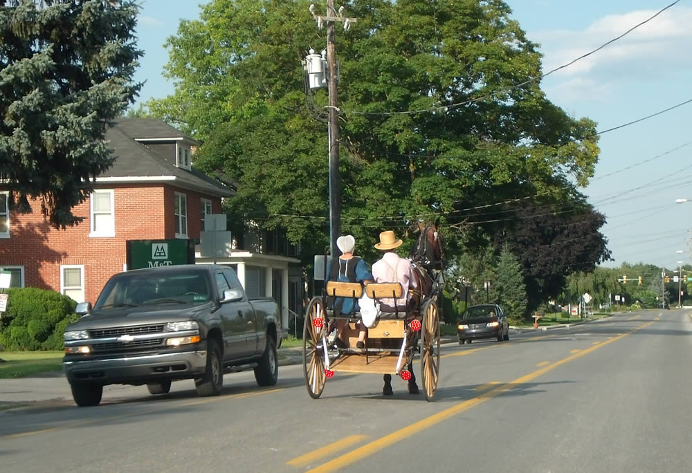 Les Amish : un Buggy