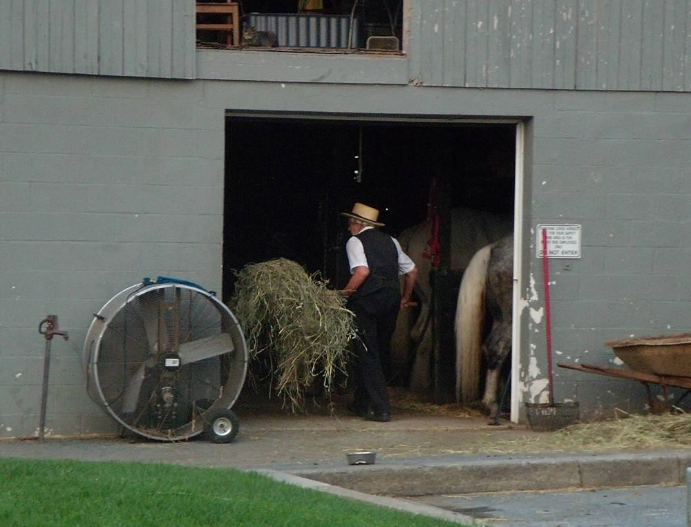 Les Amish : Une ferme