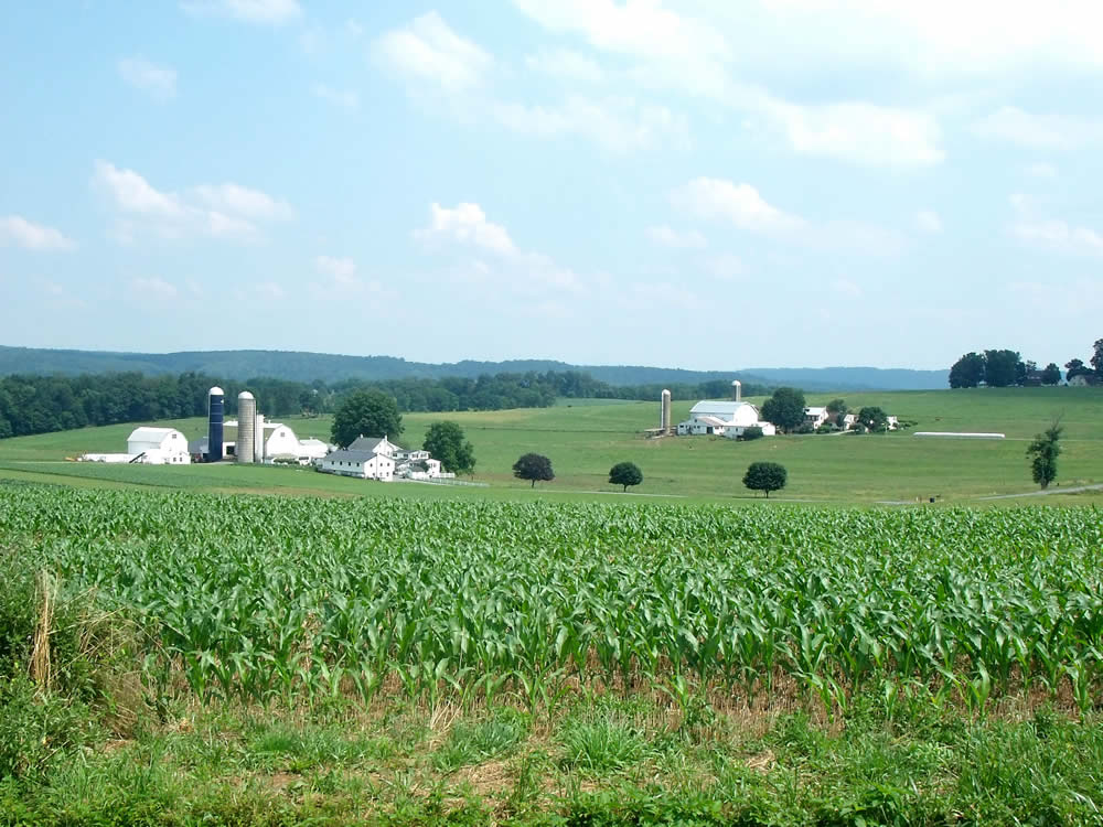 Les Amish : Une ferme