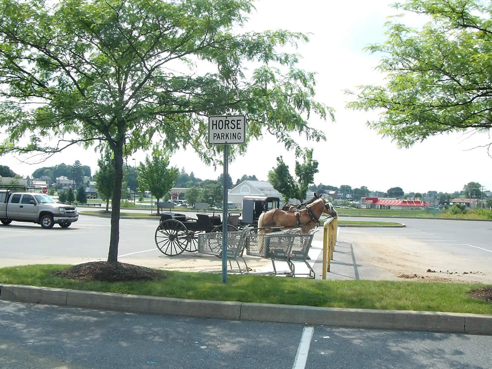 Les Amish : Un parking pour chevaux