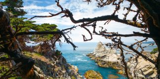 Point Lobos State Natural Reserve