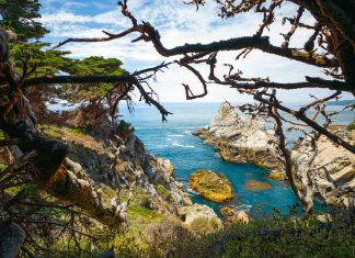 Point Lobos State Natural Reserve