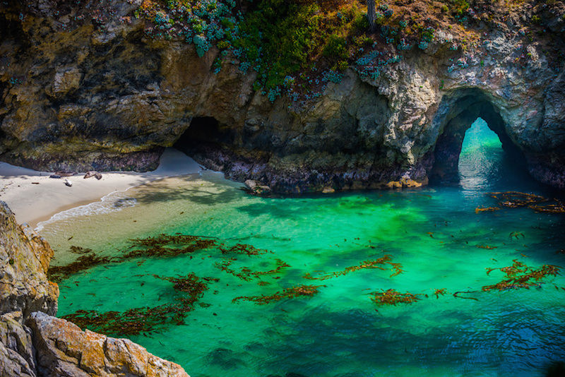 Point Lobos State Natural Reserve china cove