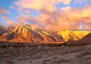 Lone Pine