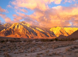 Lone Pine