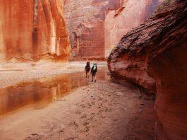 Vermilion Cliffs National Monument