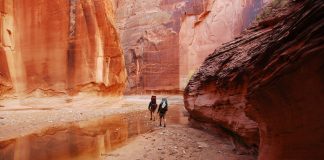 Vermilion Cliffs National Monument