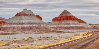 Petrified Forest National Park et Painted Desert