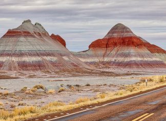 Petrified Forest National Park et Painted Desert