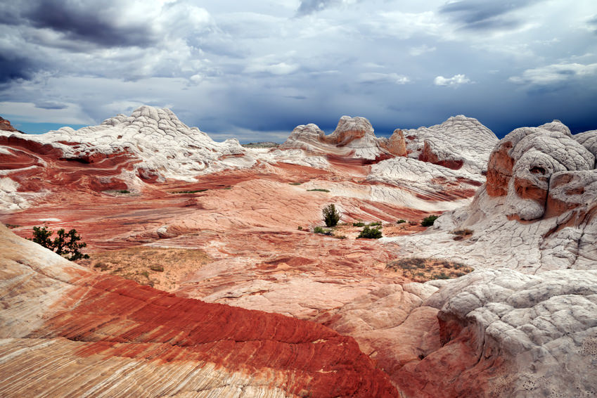 white pocket au vermilion cliffs national monument