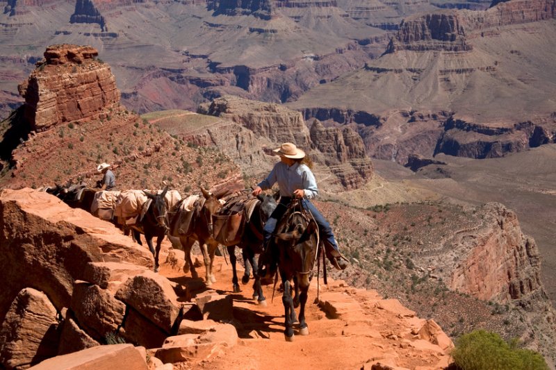 À cheval dans le Grand Parc