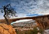 Natural Bridges National Monument