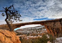 Natural Bridges National Monument