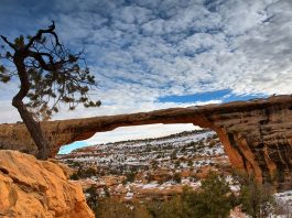 Natural Bridges National Monument