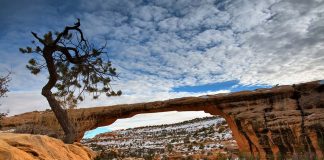 Natural Bridges National Monument