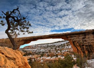 Natural Bridges National Monument