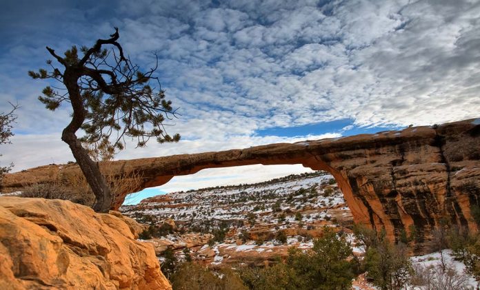 Natural Bridges National Monument