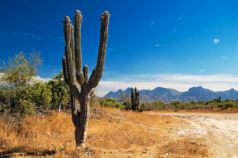 itinéraire désert en californie