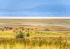 Antelope Island State Park