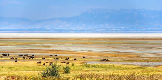 Antelope Island State Park