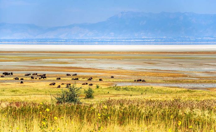 Antelope Island State Park