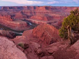 Dead Horse Point State Park